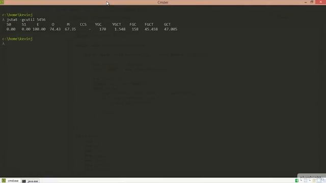 03 03 Using jstat смотреть онлайн