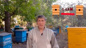 Пчелиное воровство. Пчелы разбивают ульи, как предотвратить?