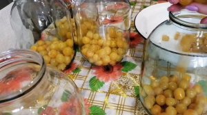 ЖЁЛТАЯ АЛЫЧА. КОМПОТ НА ЗИМУ. В ХОЛОДА ПОРАДУЕТ.