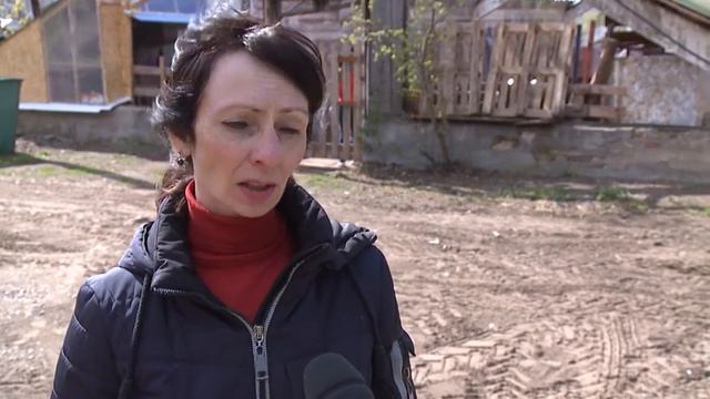 Волонтёры спасли двух щенков смотреть онлайн