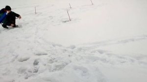 Зимняя рыбалка. Донской бирюк. Большой улов ??? √24