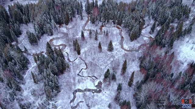 Лесное озеро рядом с теремом в Асташове смотреть онлайн