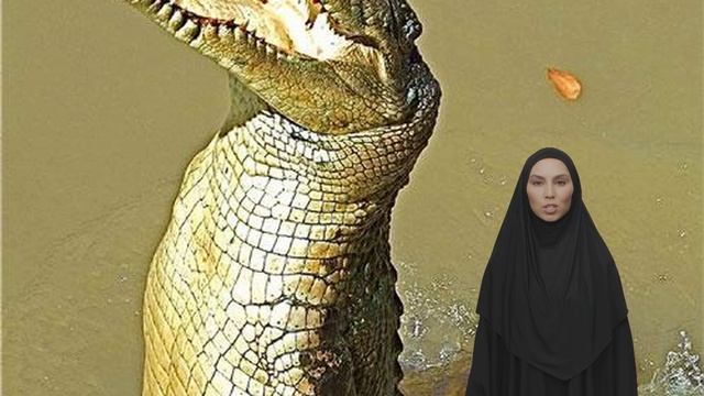 Погода в Африке