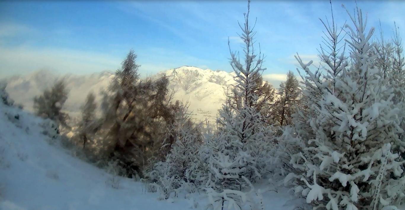 Спускаемся с горы.Зима в Горном Алтае. смотреть онлайн