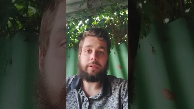 Сирил Ган Тай Туйваса прогноз на UFC смотреть онлайн