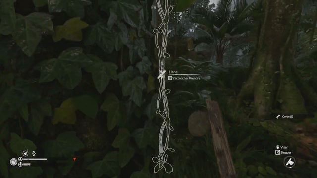 GREEN HELL - GUIDE DE SURVIE ET TUTO 01 смотреть онлайн