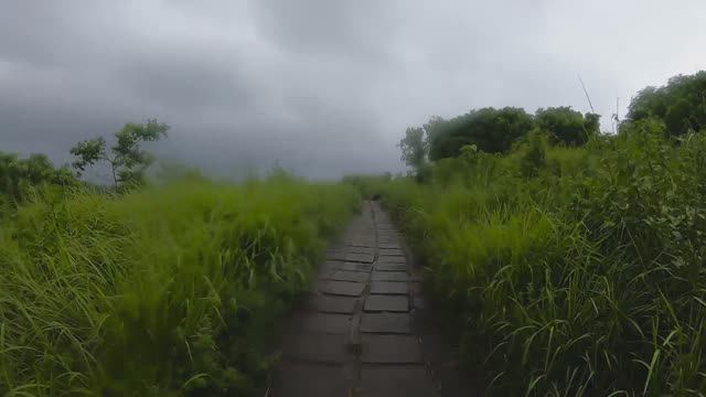 Бали Тропа Художников | Дождливый день в Убуде | Campuhan Ridge Walk смотреть онлайн