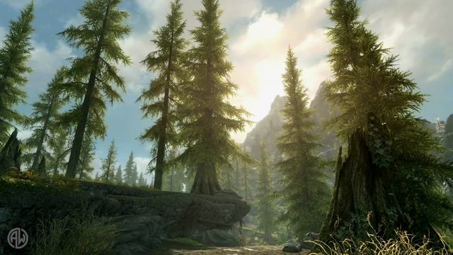 The Elder Scrolls Music & Ambience | Peaceful Forest, 5 Beautiful Scenes With Calm Music Mix, 6 Hrs