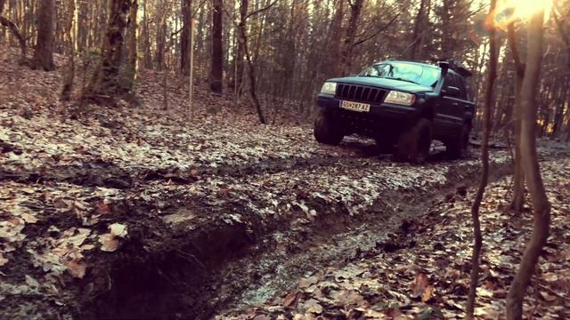 Jeep WJ Quadra Trac II — Offroad Forest driving / Not Hardcore #Jeep #JeepWJ #JeepWJV8 смотреть онлайн