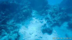 Hotel Dream Lagoon & Aquapark Resort