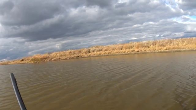 Охота на зайца, открытие - А сбылось это!)) смотреть онлайн