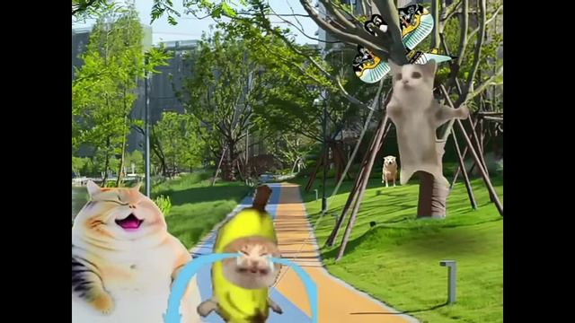 банана кет и хапи хапи много серий смотреть онлайн