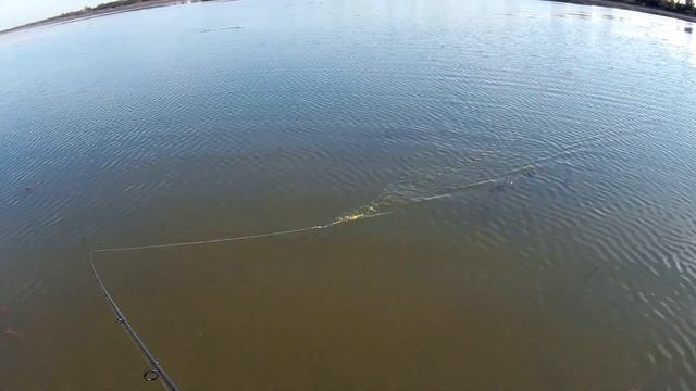 Тщикское водохранилище,рыбалка от 21.10.На что можно ещё ловить кроме неогруженной резины. смотреть онлайн