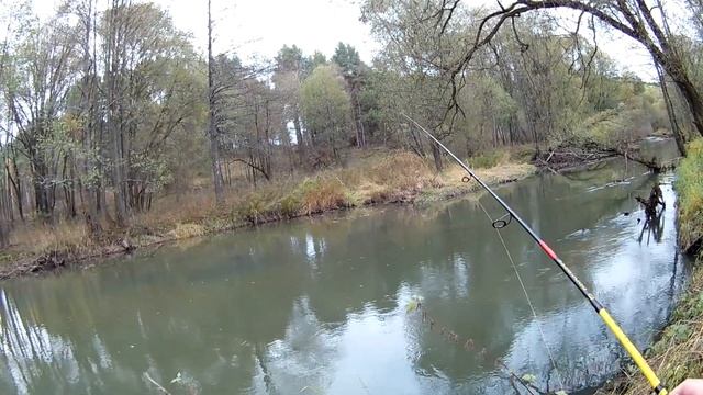 Поиск щуки осенью на малой реке. Рыбалка на спиннинг с берега смотреть онлайн