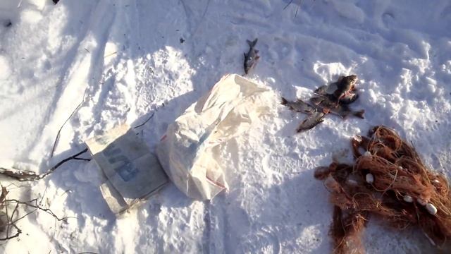 ОХОТА РЫБАЛКА ГОТОВИМ ПРИМАНКУ ПРОВЕРЯЕМ СЕТИ смотреть онлайн