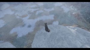 Как ролить в Котах Воителях в Роблокс