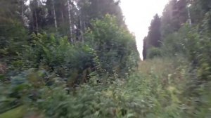 4 часть. Поездка на самодельной дрезине по заброшенной узкоколейной железной дороге. Ужд.