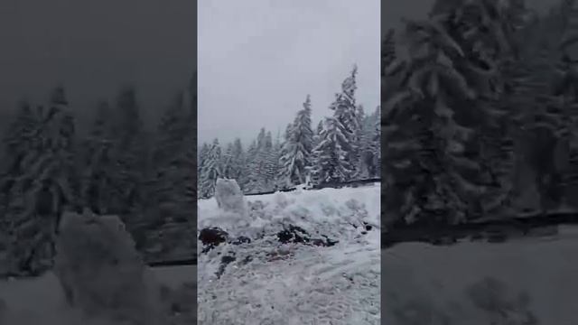 экстримальное катание в горах(Карпаты) на квадрациклах,21 смотреть онлайн