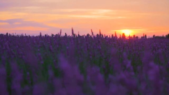 #music#meditation#Relax#расслабление#музыка * Relaxing music to relieve stress смотреть онлайн