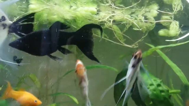 Всего по немногу смотреть онлайн