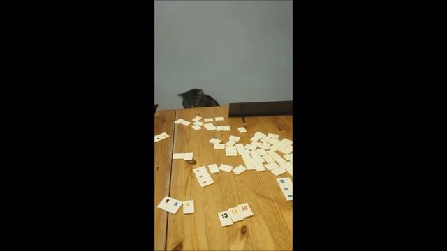 Cat plays rummikub смотреть онлайн