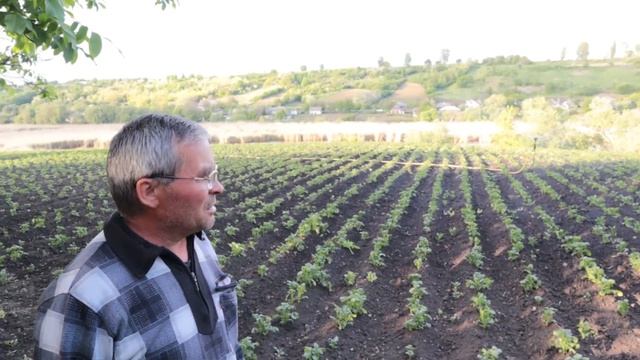 Полив города, картоплі. Який насос, шланги для полива? смотреть онлайн