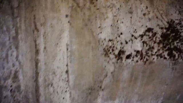 Нашёл Ленина. смотреть онлайн