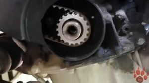 Peugeot 407 _Замена ремня ГРМ_