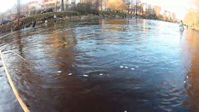 Корюшка на паук. 20.04.21 смотреть онлайн