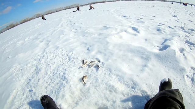 р Томь Талая 10 03 2018 смотреть онлайн