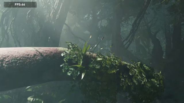 Shadow Of The Tomb Raider | Benchmark | Radeon RX-590 смотреть онлайн