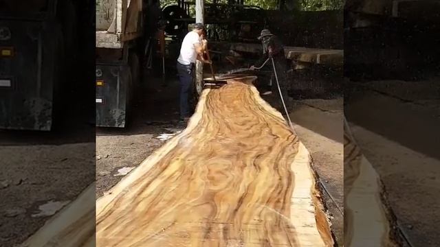 Слэбы из Дерева Экзоты Слэб из Дерева Акация длина 11м смотреть онлайн