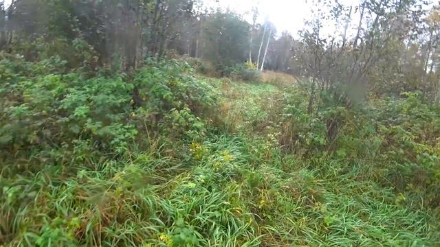 Охота #150 большая загонная охота смотреть онлайн