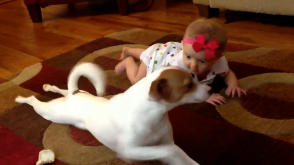 Пёс учит малышку ползать смотреть онлайн