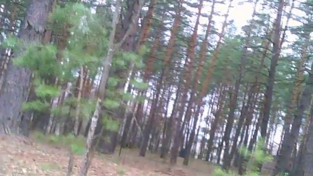 СтрайкболВоронеж 18.04.2010 смотреть онлайн