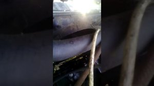 Замена лампочки на фаре "Ваз-2107"