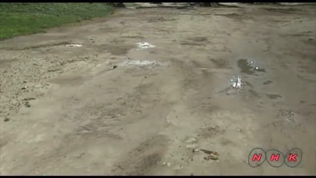 Национальный парк Тикаль. Древний город, скрытый в джунглях смотреть онлайн