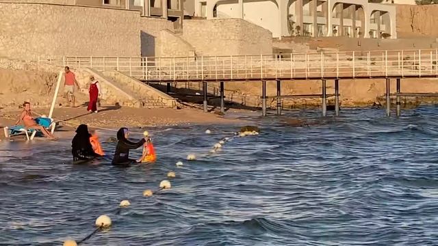 Winter in Sharm el Sheikh. Egypt. Отдых на море во время карантина. смотреть онлайн