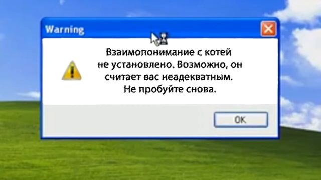Как общаться с котом? смотреть онлайн