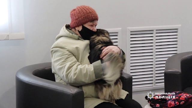 Доки не розшукали власників, загублений пекінес «чергував» у поліції Рівненщини смотреть онлайн