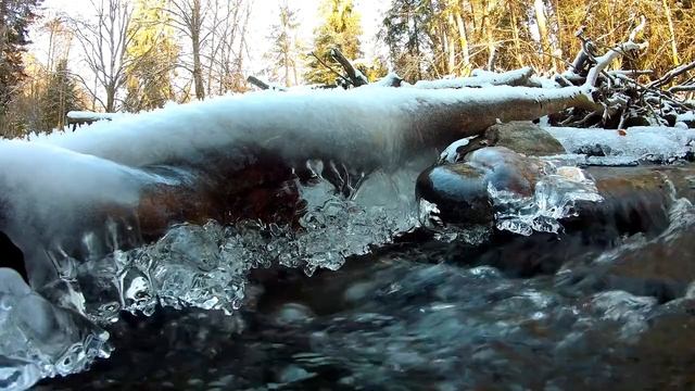 Красота Зимнего Леса. Лесной Ручей. смотреть онлайн