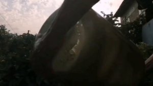 Как отмыть бутыли для вина (самый простой способ)