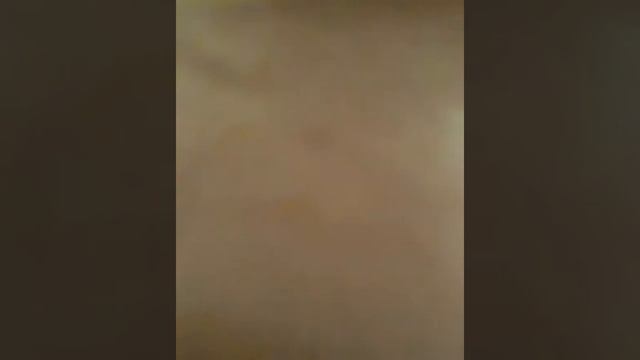 Котик до и после стрижки смотреть онлайн