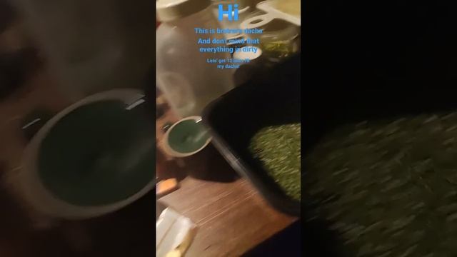 brother dacha смотреть онлайн