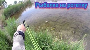 Рыбалка на рогатку - разведка новой локации#рыбалкасрогаткой#охотасрогаткой#змееголов