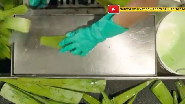 Forever Living Product Profile L Flp Profile 2023 L Company Profile L UPDATE L Dr Hina Jillani