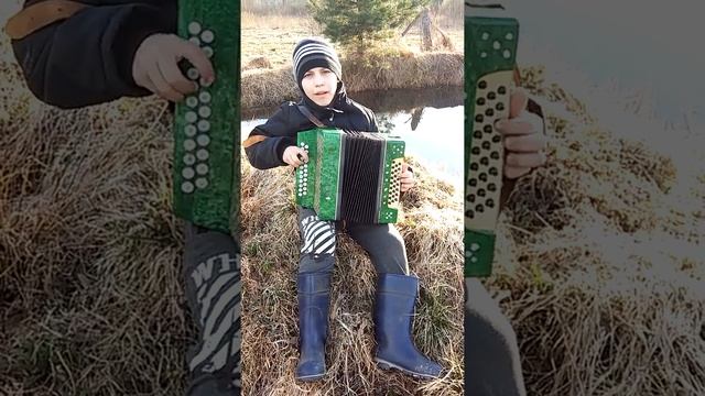 Гармонь "Марічка" смотреть онлайн