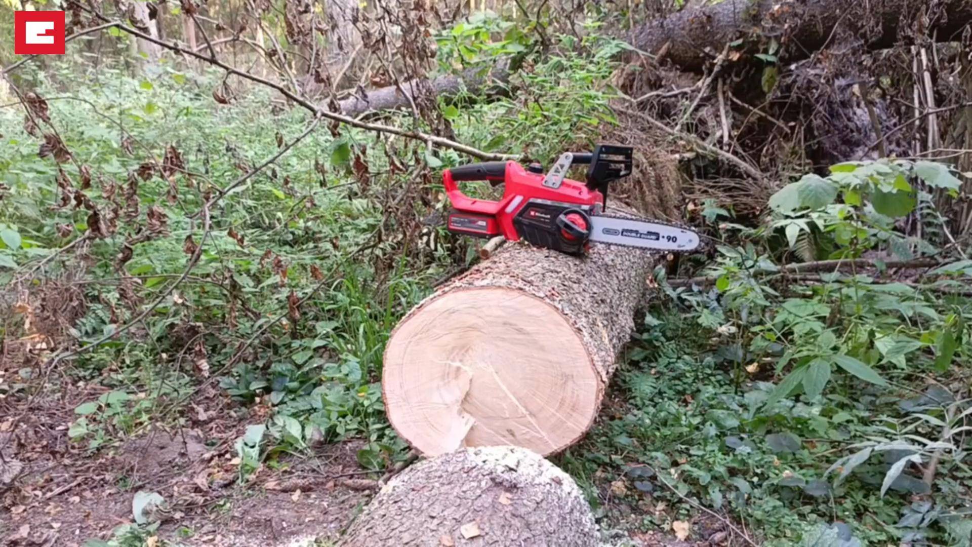 Einhell Аккумуляторные цепная пила GE-LC 18/25 Li и заточной станок GE-CS 18 Li в лесу.