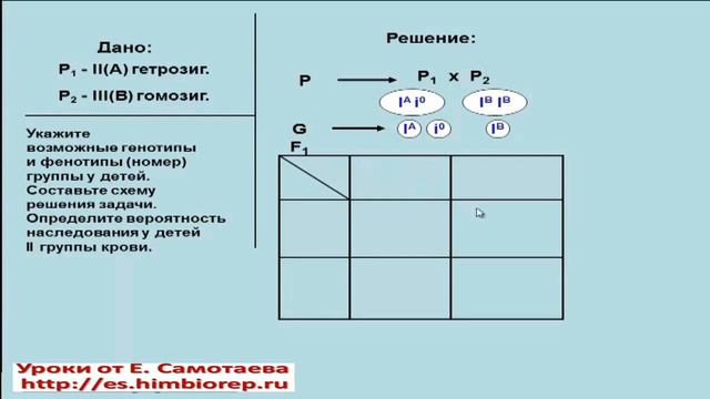 Задача по генитике смотреть онлайн