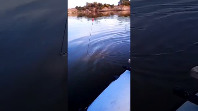 Fishing expedition @Fishing event genshin #Fishing lure, fishing derby @Fishing story with ronnie смотреть онлайн